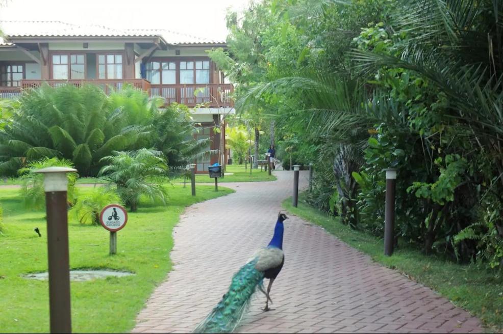 Villa Da Enseada, Praia Do Forte Exterior foto